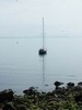 Unser sch�nster Ankerplatz - die Shiant Islands bei Flaute