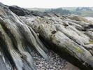 Felsen in der Talmine Bay, Kyle of Tongue